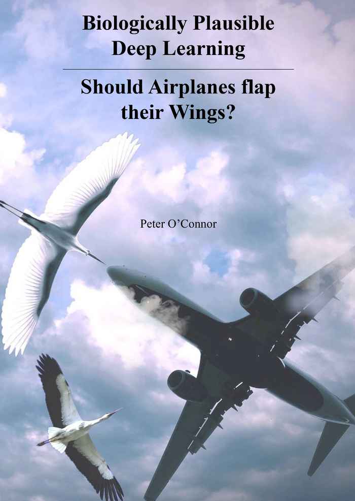 2020 Thesis cover Peter O'Connor