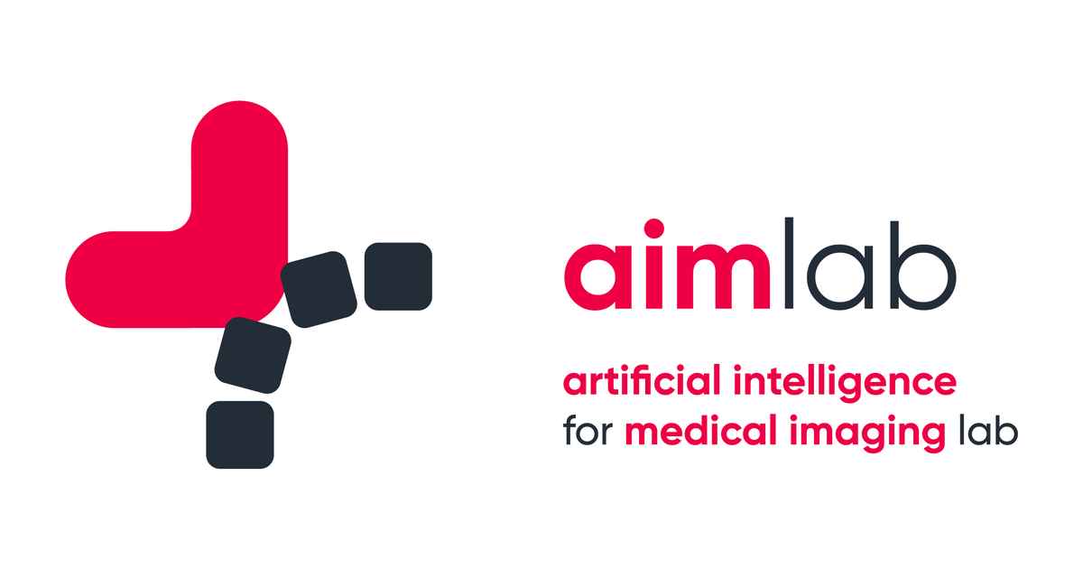 Artificial Intelligence for Medical Imaging Lab Informatics Institute University of Amsterdam