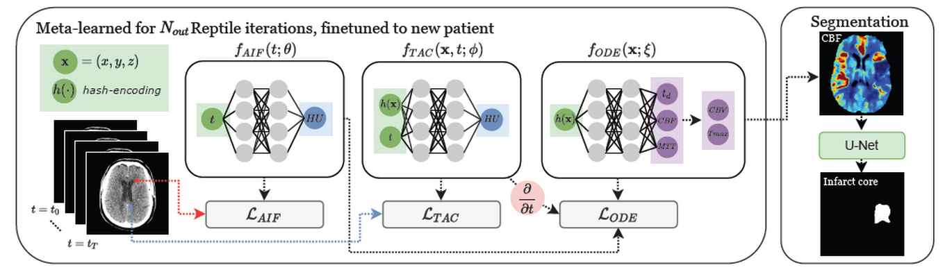 The neural fields learn a representation of the CT perfusion data. Another neural field learns the blood flow, blood transit time, and delay, guided by a physics-informed loss function originating from a differential equation. With hash-encoding coordinate embeddings and meta-learned neural field initializations, the method is accelerated to achieve a compute time fast enough for clinical practice.