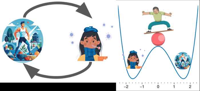 The seasonal flu emerges each autumn/winter, causing rapid transitions from health to illness. This transition can be conceptualized as a system switching between two stable states - healthy and sick. Like a ball resting in one of two valleys, a person's health status typically remains stable in either state. However, when someone becomes susceptible (for example, due to stress or exposure to the virus), even small disturbances can trigger a sudden switch from one stable state to the other, much like a ball being pushed over the hill between the valleys.
