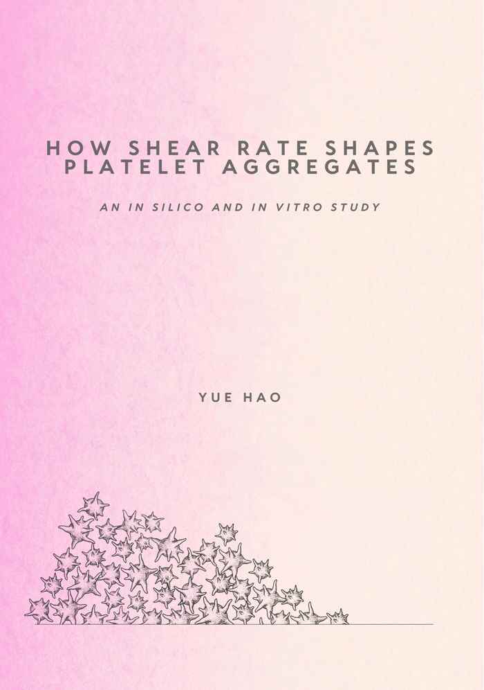 Thesis cover Yue Hao